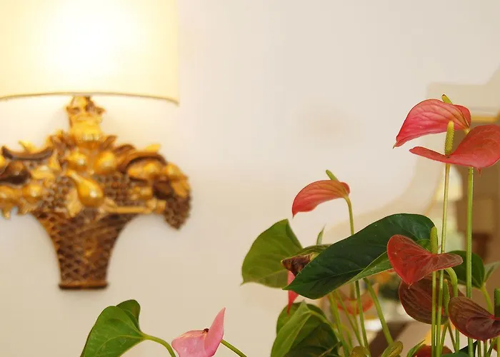 Marincanto Ξενοδοχείο 4*